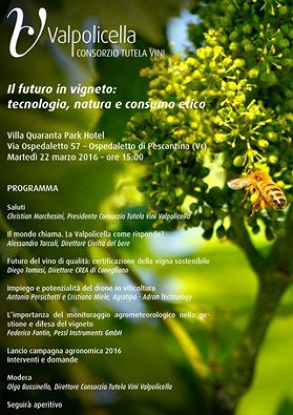 Il futuro del vigneto: tecnologia, natura e consumo etico.